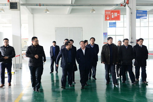 王顶岐参观考察开云电子公司
