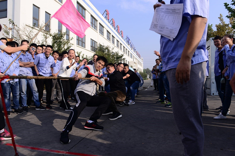 凝聚合力 共享欢乐 ---开云电子公司第十五届运动会隆重举行