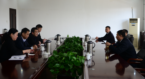 汶上县委副书记、县长李洪文到开云电子公司调研